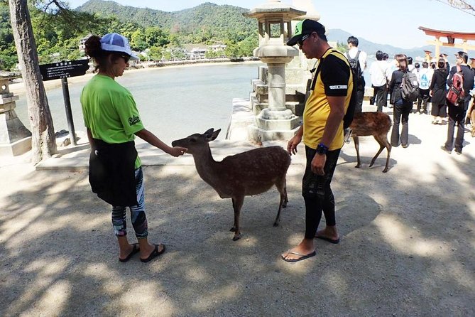 SUP Tour to See the Great Torii Gate of the Itsukushima Shrine up Close