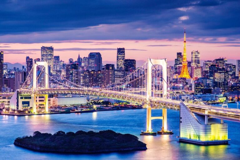 Tokyo: 1-day Private Customizable VIP Tour–Porsche Cayenne