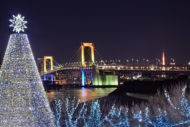 Tokyo Christmas Tour With a Local Guide: Private & Tailored to You