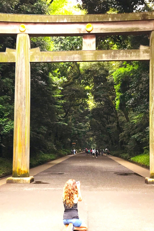 Tokyo: Complete Tour in One Day, Visit All 10 Popular Sights - Shibuya Hachi