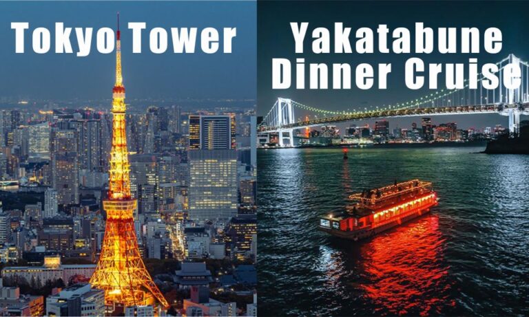 Tokyo: Cruise With Japanese Show, Meal & Tokyo Tower Ticket