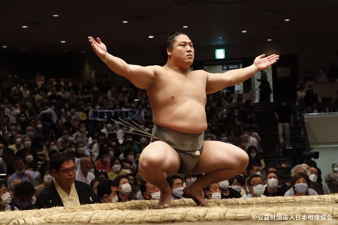 Tokyo Grand Sumo Tournament Viewing Tour With Chanko Dinner
