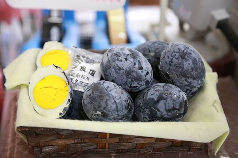 Tokyo: Hakone Fuji Day Tour W/ Cruise, Cable Car, Volcano