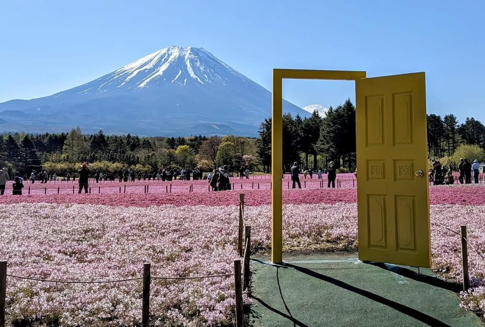 Tokyo: Mount Fuji Customizable Private Tour by Car - Tour Details