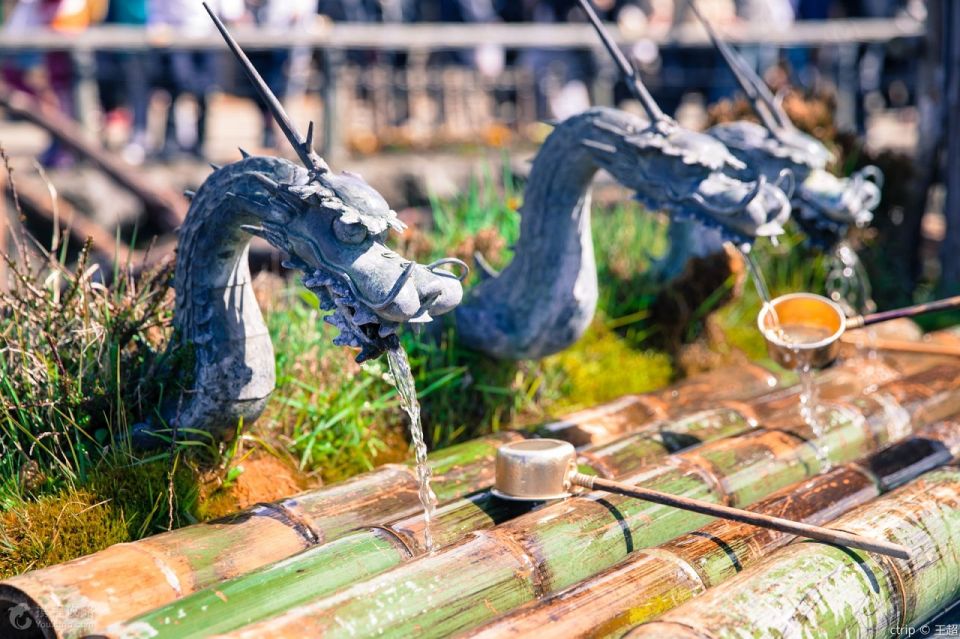 Tokyo: Mt.Fuji, Oshino Hakkai, and Outlets Full-Day Trip - Trip Details