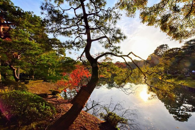 Tokyo Photogenic Spots Visiting Tour