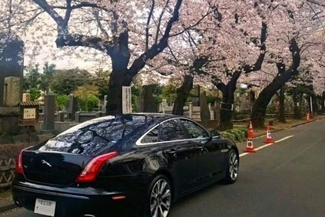 Tokyo Private Full-Day Landmark Tour, by Car, Custom Itinerary (Mar )