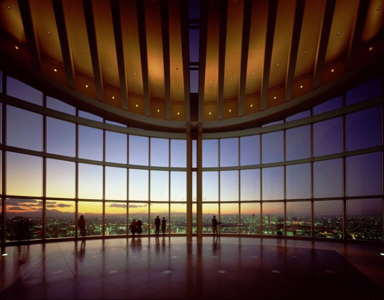 Tokyo: Roppongi Hills Observatory Ticket