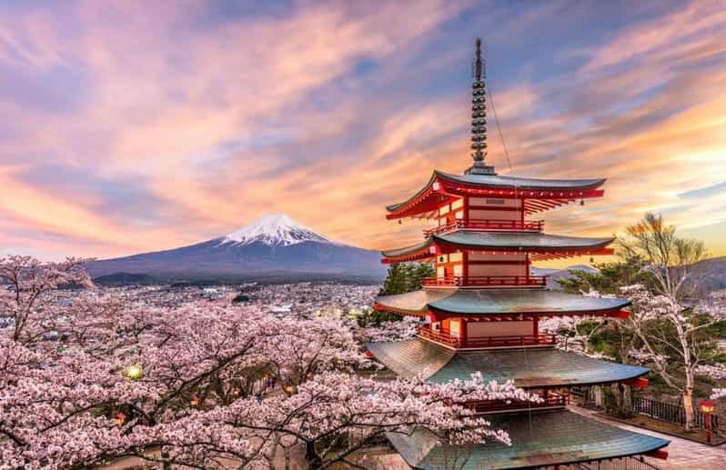 Tokyo:Private Mt Fuji Sightseeing Tour With English Driver. - Private Group Experience