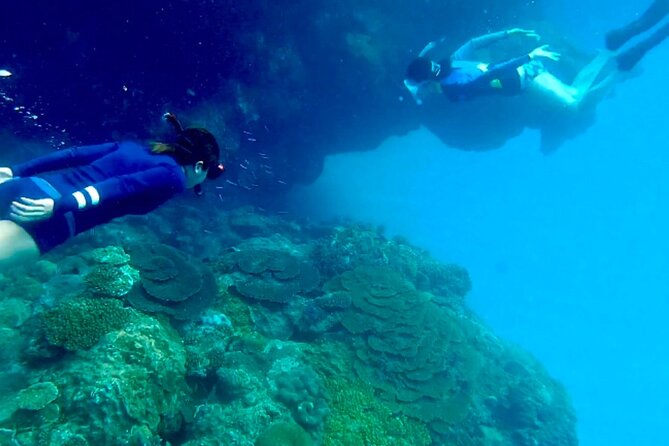 Tomori- Beach Blue Cave Snokering/ENGLISH PRIVATE