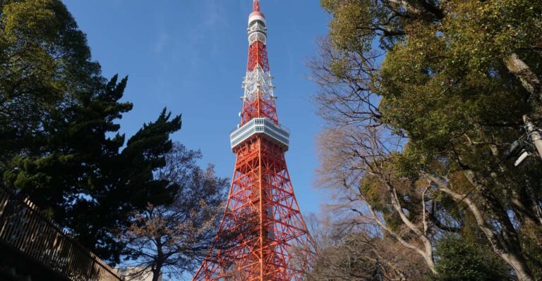 Top 3 Hidden Tokyo Tower Photo Spots and Local Shrine Tour
