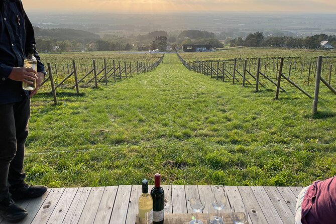 Tour for Wine Connoisseurs and SNS Enthusiasts