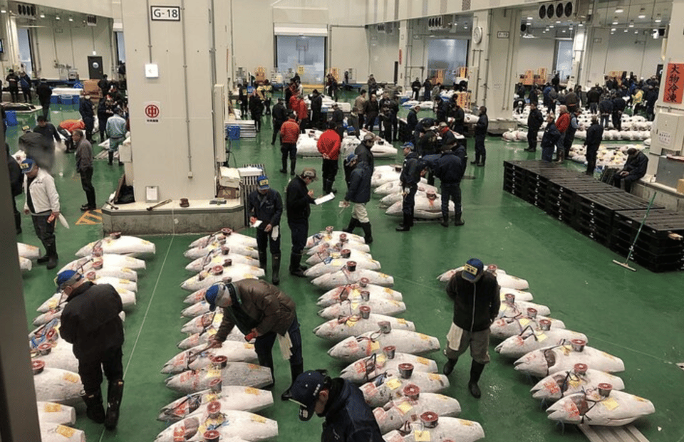 Toyosu Tuna Auction and Tsukiji Market by Gov Licensed Guide - Directions