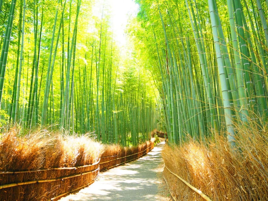 Traversing Kyotos Scenic West - Arashiyama to Kinkakuji - Scenic Beauty of Arashiyama