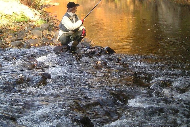 Yakusugi Cedar Forest Walking Tour on Yakushima Island