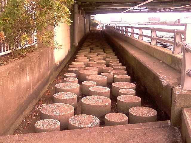 tukuda-nakanosima-08