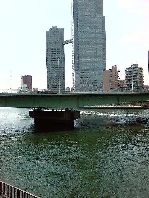 tukuda-tukudaoohashi-02