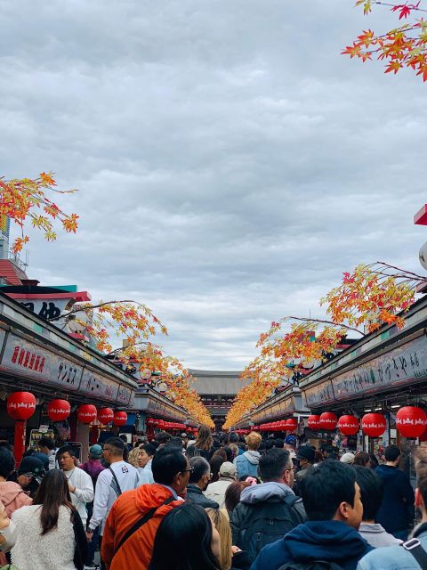 1 Day Tokyo Private Charter Sightseeing Tour With Guide - Itinerary