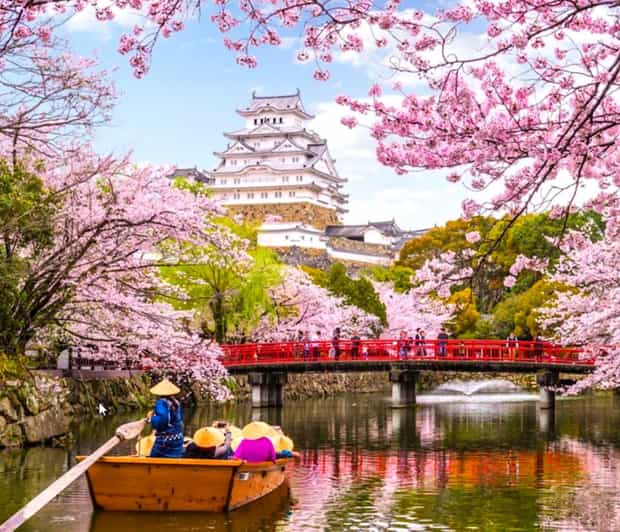 10-Day Private Guided Tour in Japan Moreover 60 Attractions - Daily Itinerary