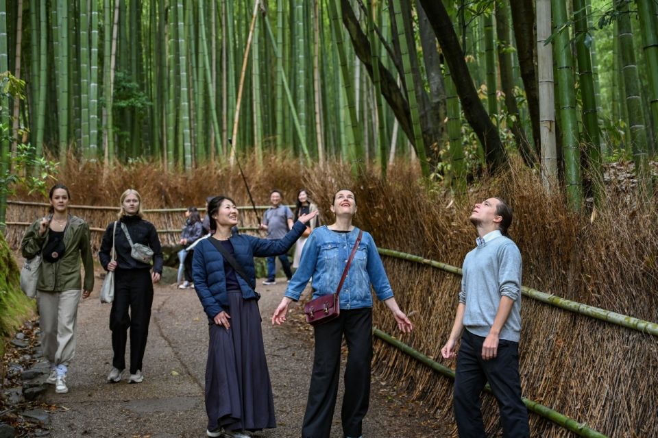 Arashiyama: Bamboo Grove and Temple Tour - Highlights