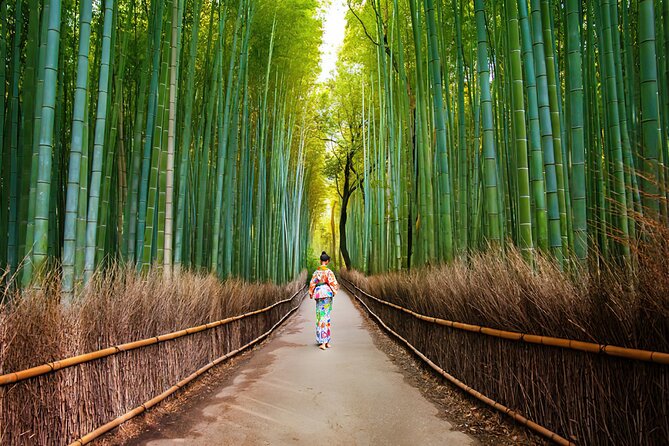 Arashiyama Walking Tour - Bamboo Forest, Monkey Park & Secrets - Private Tour Option and Group Size