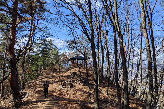 Castle Ruins Tour in Matsumoto With Wine Tasting and Lunch - Castle Ruins Exploration