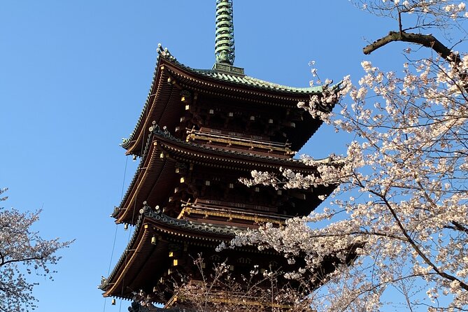 Cherry Blossom Tour in Tokyo - Pricing Information