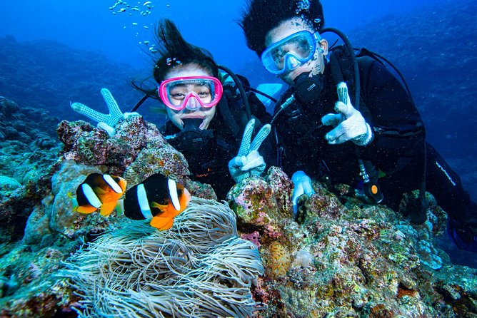 Departing From Onna Village (Maeda Fishing Port)! Minna Island Snorkel & Trolling Experience Comple - Preparation and Packing List