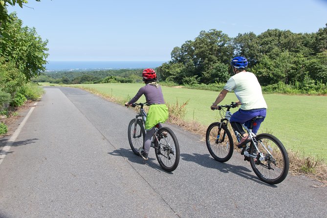 Downhill Biking - Top Downhill Biking Destinations