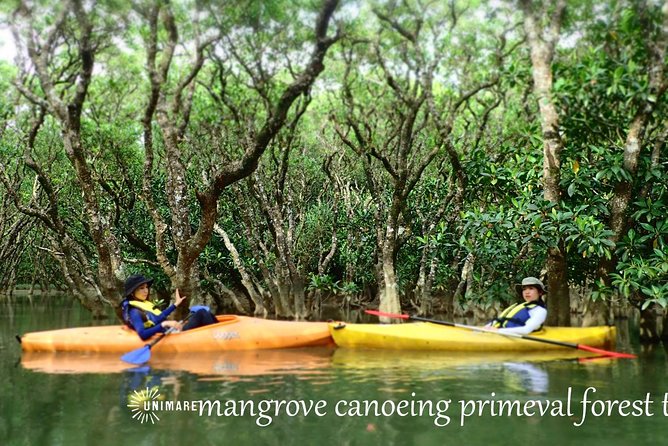 Enjoy a Private Mangrove Canoe in Amami – a Special Journey in Nature - Whats Included in the Tour Package