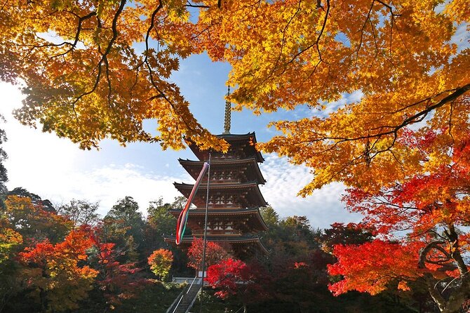 Experience the Unique "Oh, My Guide" Rent a Car in Kyoto - Inclusions in Your Rental Experience