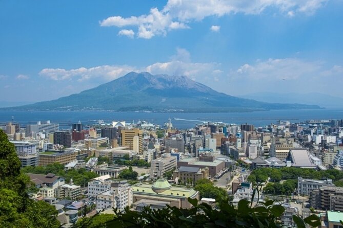 Explore Kagoshima Sightseeing Spots by Kagoshima City View Bus - Booking Process and Requirements