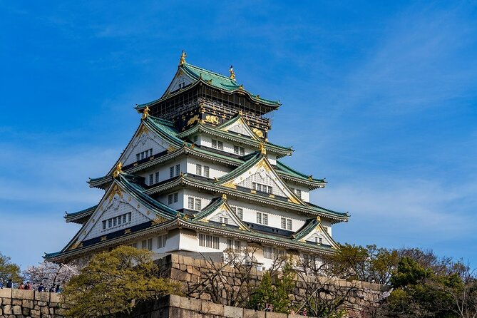 Explore Osaka Hotspots in 1 Day Walking Tour From Osaka - Lunch Details