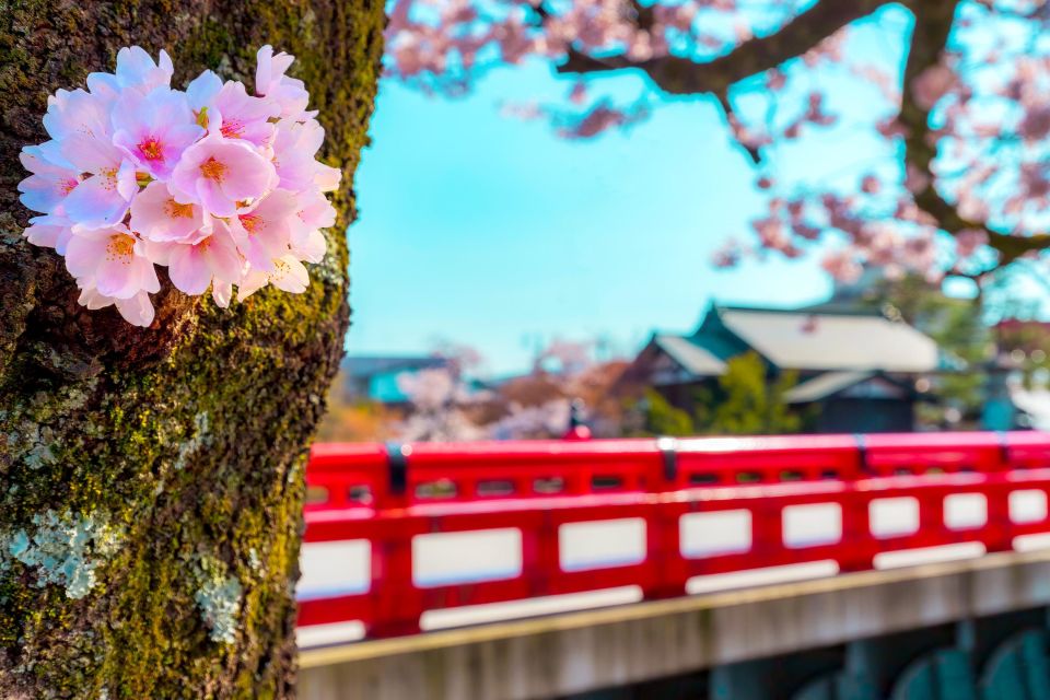 From Nagoya: Gujo, Hida Takayama, and Shirakawa-go Day Tour - Itinerary