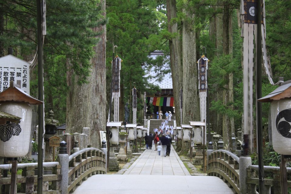 From Osaka: Mt. Koya Private Walking and Train Tour - Activity Description