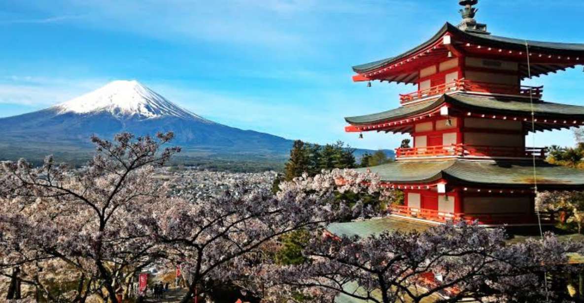 From Tokyo: Customizable Mount Fuji Full-Day Private Tour - Itinerary Highlights
