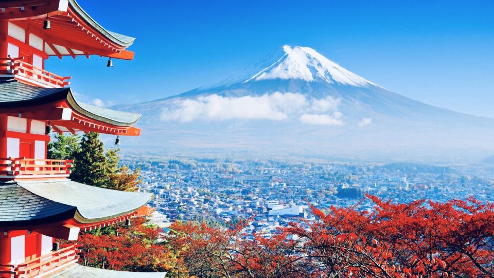 From Tokyo: Mount Fuji and Hakone Private Day Trip - Itinerary Highlights