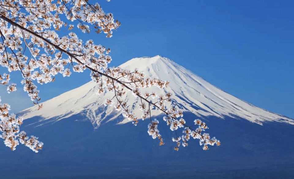 From Tokyo: Mount Fuji Full-Day Private Customized Tour - Experience