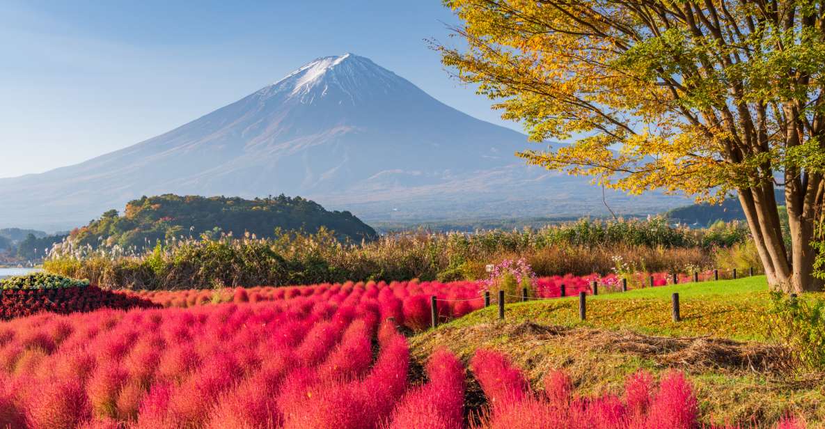 From Tokyo: Mount Fuji Highlights Private Day Tour - Booking Information