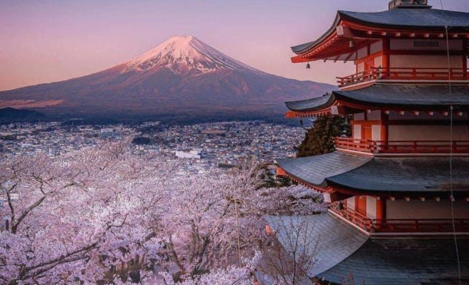 From Tokyo: MT Fuji Hakone Owakudani Valley Private Tour - Tour Itinerary