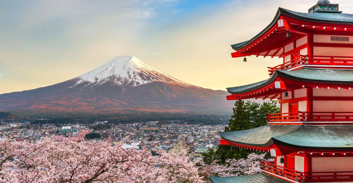 From Tokyo: Mt. Fuji or Hakone Private Sightseeing Day Trip - Itinerary A - Mt. Fuji