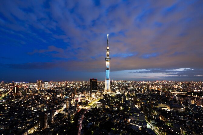 Full Day Private Luxury Tokyo Tour - Exclusions