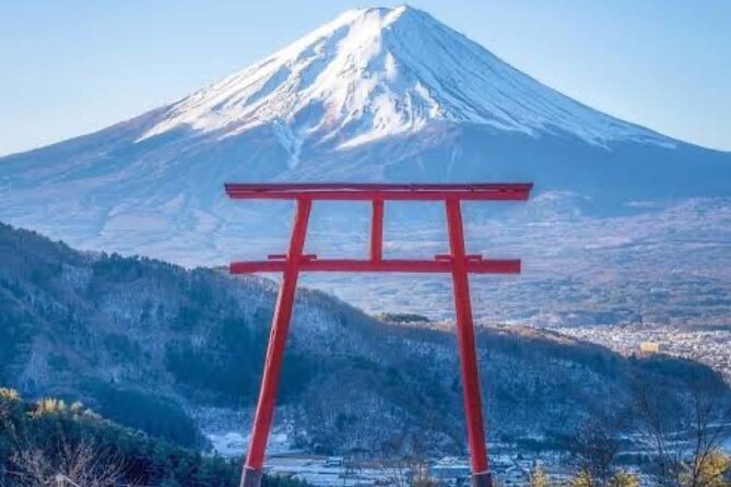 Full Day Private Tour With English Speaking Driver in Mount Fuji - Pricing and Pickup Options
