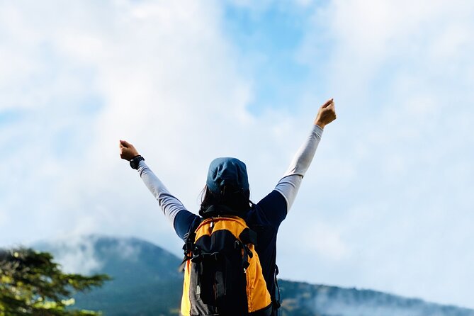 Fushimi Inari Mountain Hiking Tour With a Local Guide - Meeting Details
