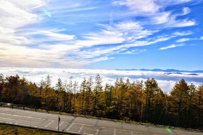 Gotemba Outlet Mall Plus Lake Kawaguchi or Hakone Tour by Chartered Van - Exclusive Chartered Van Experience