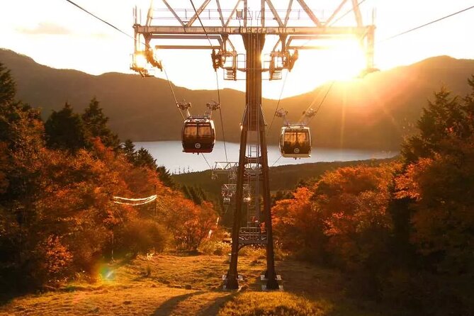 Hakone FreePass, 2-3 Days Japan - Accessibility and Participation Requirements