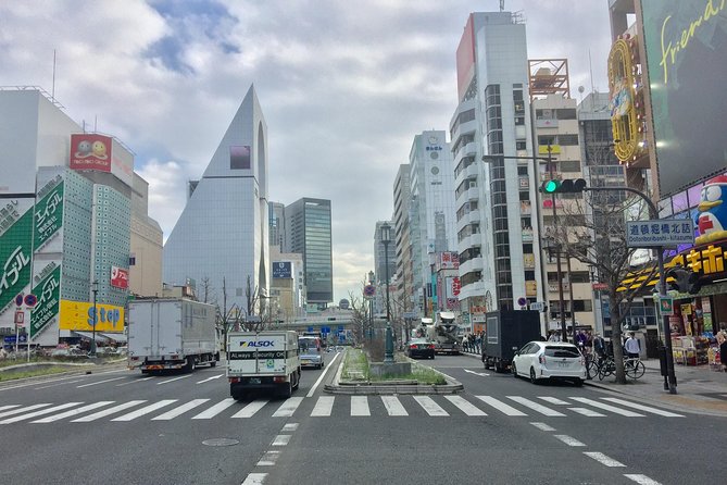 Half-Day Private Guided Tour to Osaka Minami Modern City - Booking Information