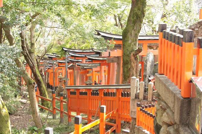 Inside of Fushimi Inari - Exploring and Lunch With Locals - Health and Fitness Requirements