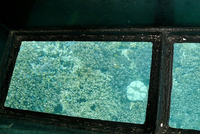 Kabira Bay Guided Tour by Electric Trike in Ishigaki Island, Okinawa - Cancellation Policy