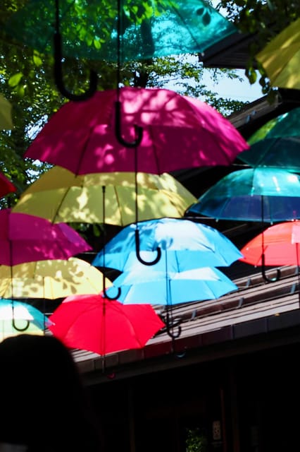 Kanto 10-Hour Chartered Day Trip|Karuizawa - Booking Instructions and Requirements